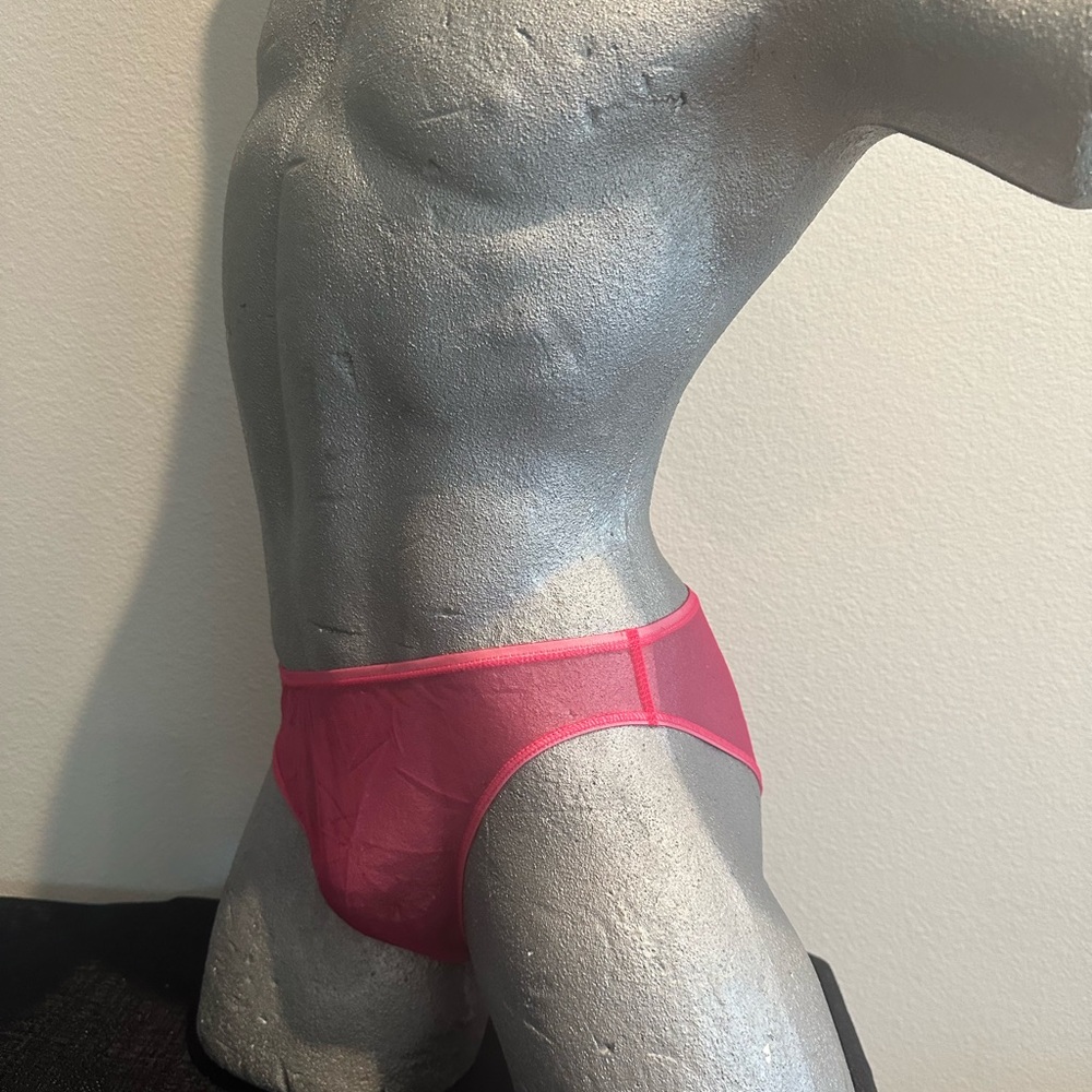 See Thru Sheer Bikini Brief  #245 - Red